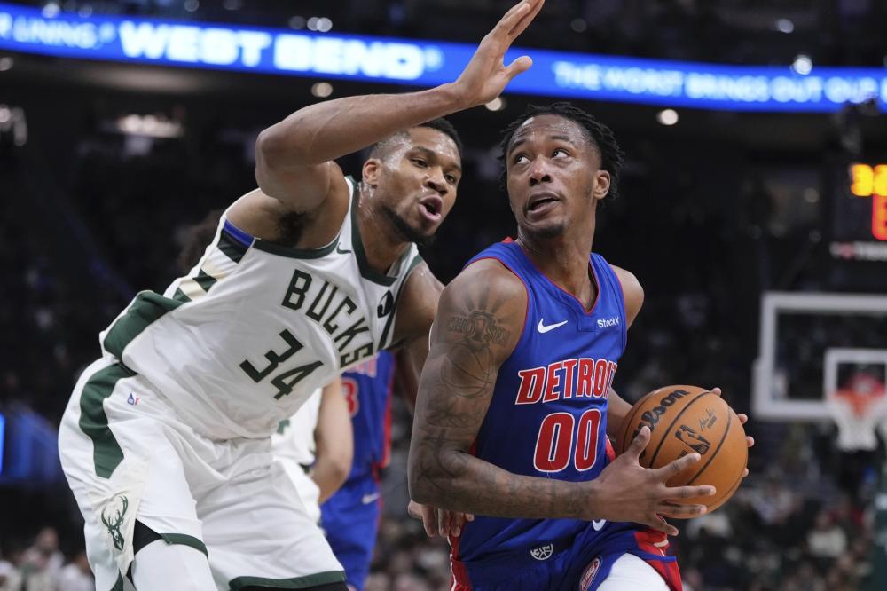 灰熊很可能 灰熊很可能